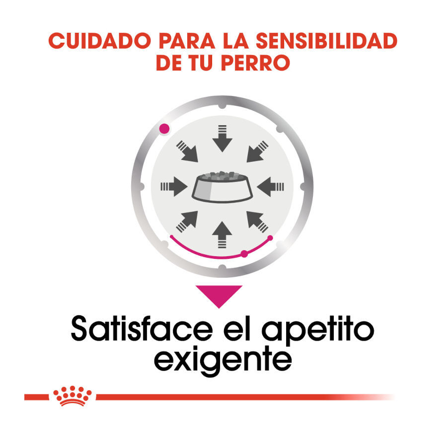 85 g Royal Canin Exigent pat&eacute; sobre para perros, , large indicador imagen numero 5